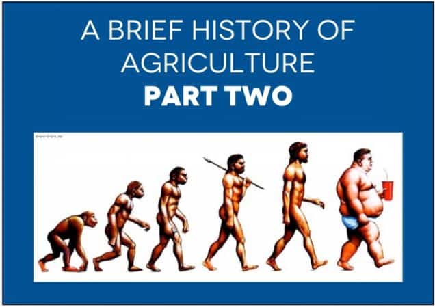 A Brief History of Agriculture, Part II – The Birth of Industrial Agriculture