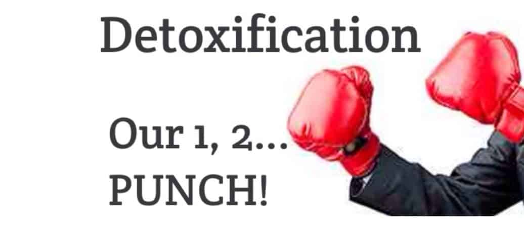 Detoxification – We give it a 1 – 2 – PUNCH!