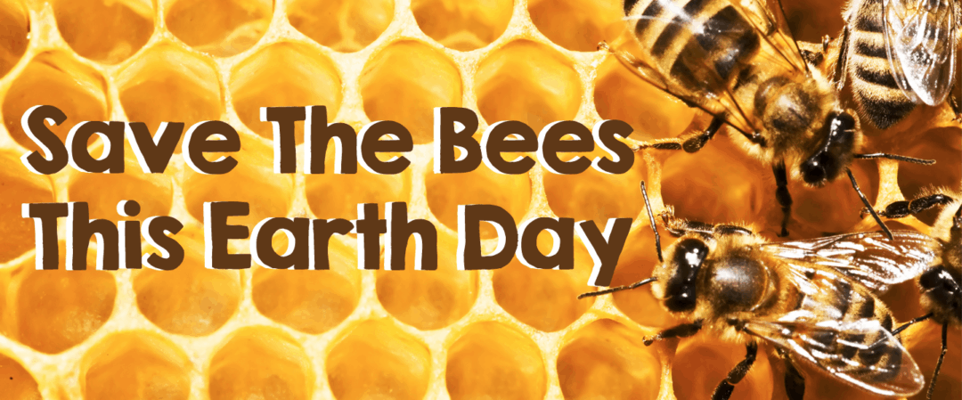 Save The Bees This Earth Day