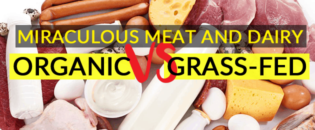 Miraculous Meat and Dairy: Organic vs Grass Fed