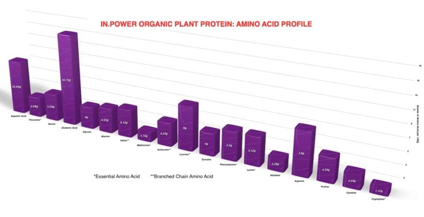 IN.Power Organic plant protein