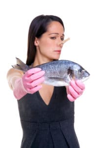 The Nose-Test does not work for fish-oil