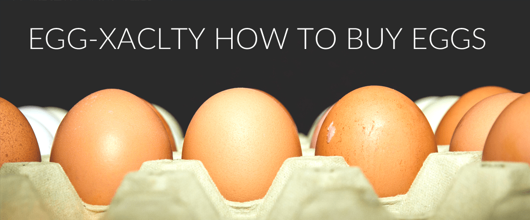 EGG-XACLTY How To Buy Eggs