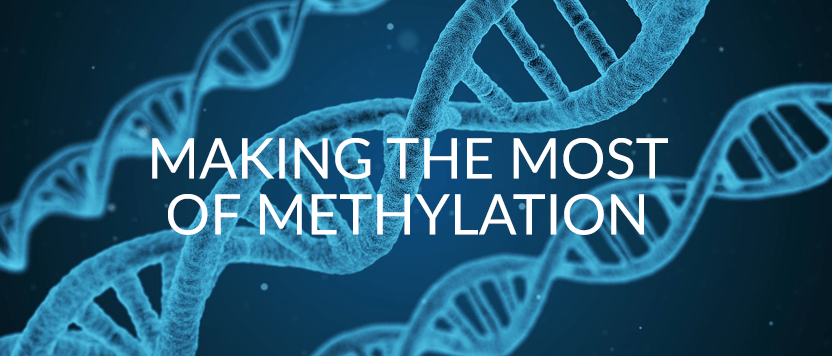 Making The Most Of Methylation