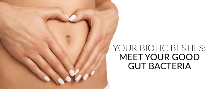 Your Biotic Besties: Meet Your Good Gut Bacteria